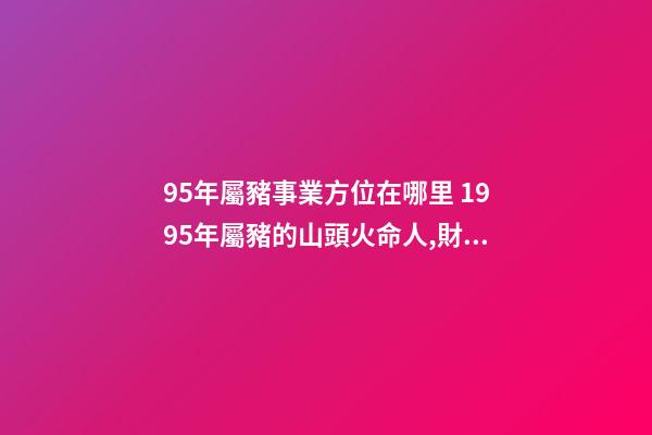 95年屬豬事業方位在哪里 1995年屬豬的山頭火命人,財運方向、去那邊為好,請指導？-第1張-觀點-玄機派